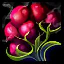 Tangy Southfury Cranberries icon