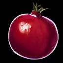 Highland Pomegranate icon