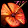 Tiger Lily icon