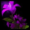 Twilight Jasmine icon