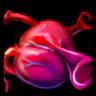 Goretusk Liver icon