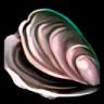 Boiled Clams icon